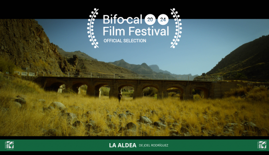 Selections in the Bifocal Film Festival